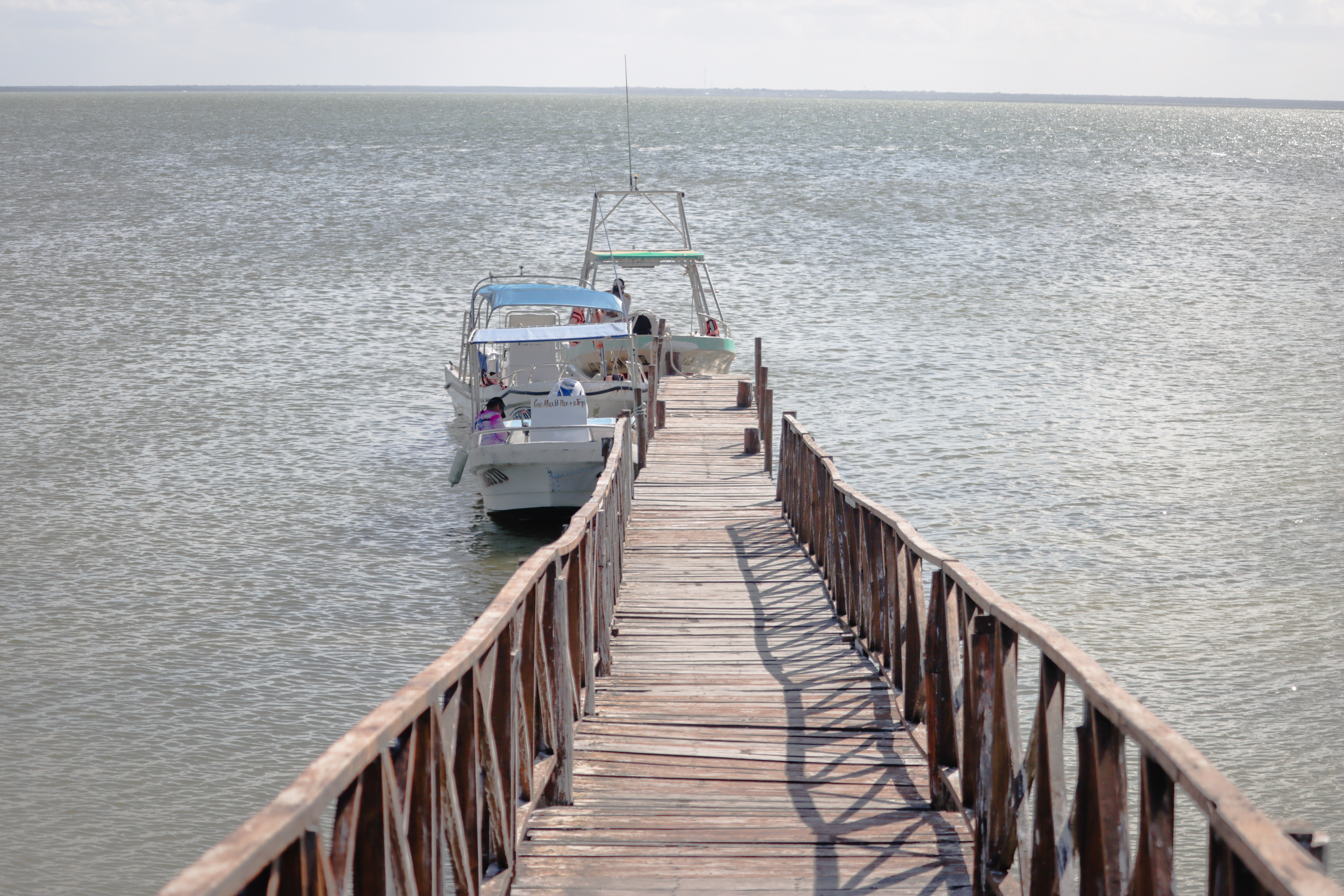 Investigadores realizando monitoreo marino en Holbox